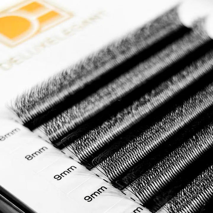Extensions de Cils Volume 5W DE® – 12 Rangées – Longueurs Mixtes