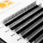 Extensions de Cils Volume 5W DE® – 12 Rangées – Longueurs Mixtes