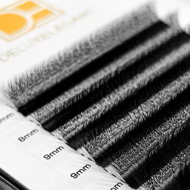 Extensions de Cils Volume 3W DE® – 12 Rangées – Longueurs Mixtes (8 à 13 mm)