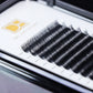 Extensions de Cils Individuelles DE® – 12 Rangées – Tailles Mixtes