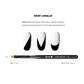 Beautilux Professional Nail Art Brushes
