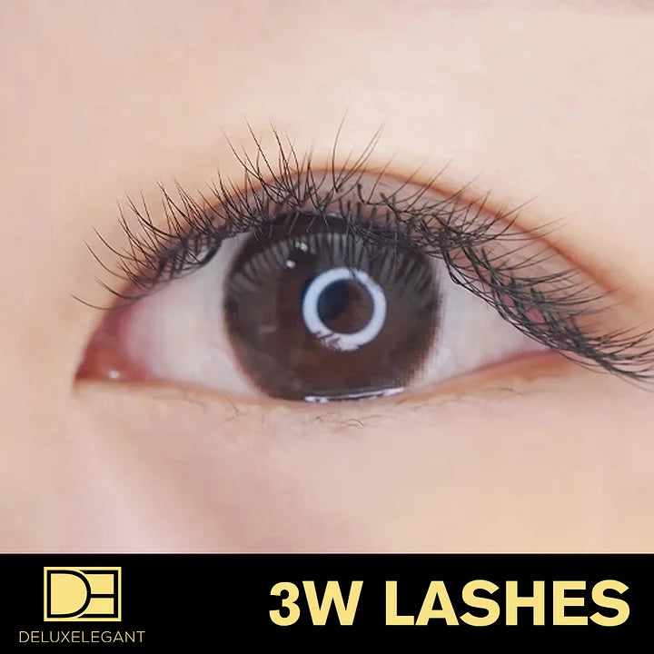 Extensions de Cils Volume 3W DE® – 12 Rangées – Longueurs Mixtes (8 à 13 mm)