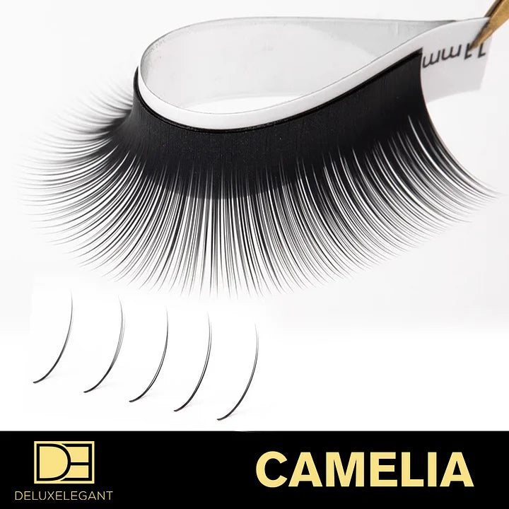 Extensions de Cils Camelia DE® – 12 Rangées – Longueurs Mixtes (8 à 14 mm)