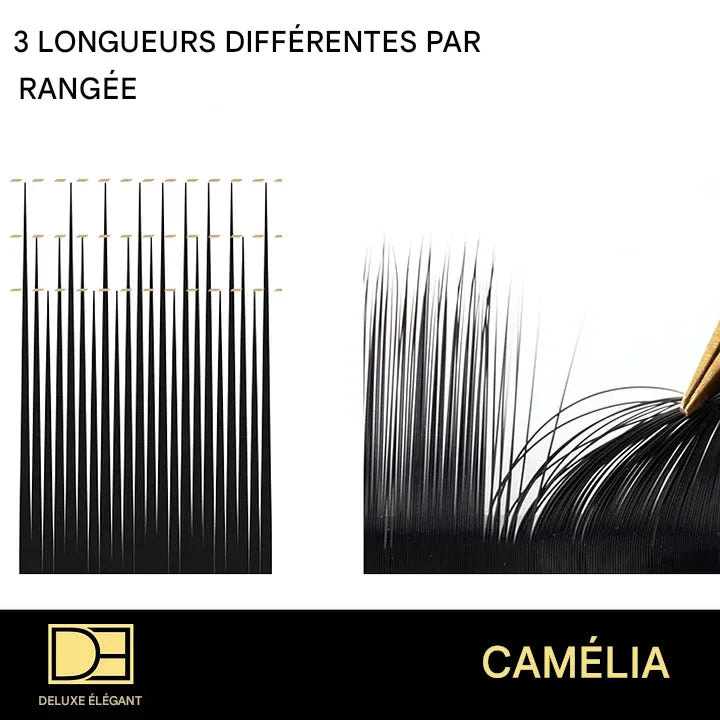 Extensions de Cils Camelia DE® – 12 Rangées – Longueurs Mixtes (8 à 14 mm)