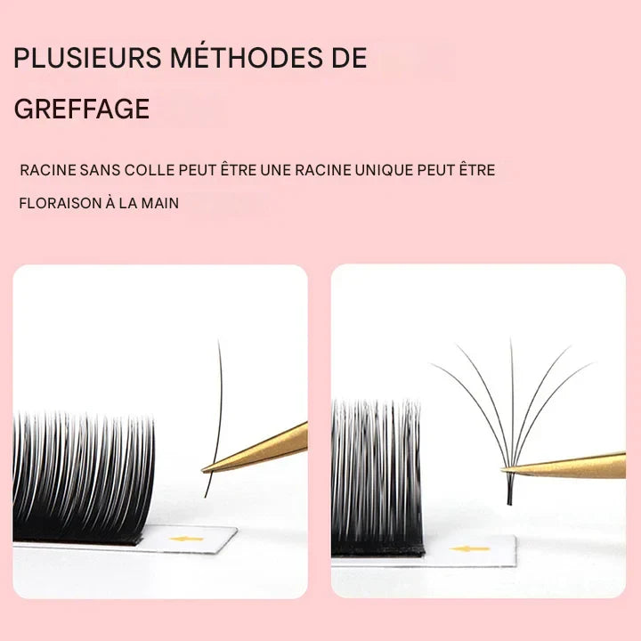 Extensions de Cils Individuelles DE® – 6 Rangées – Épaisseur 0,10 mm