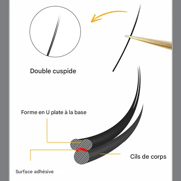 Extensions de Cils Plats DE® – 12 Rangées – Longueurs Mixtes (8 à 13 mm)