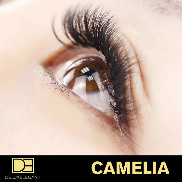 Extensions de Cils Camelia DE® – 12 Rangées – Longueurs Mixtes (8 à 14 mm)